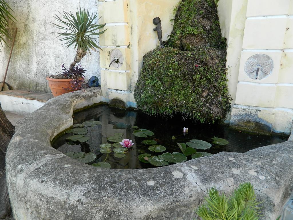 Il Nido Del Gabbiano Panzió Vietri Kültér fotó